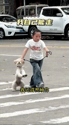 这个视频我反反复复看了好几遍，眼泪都出来了。小闺女牵着小狗过马路，还特意先叮嘱狗
