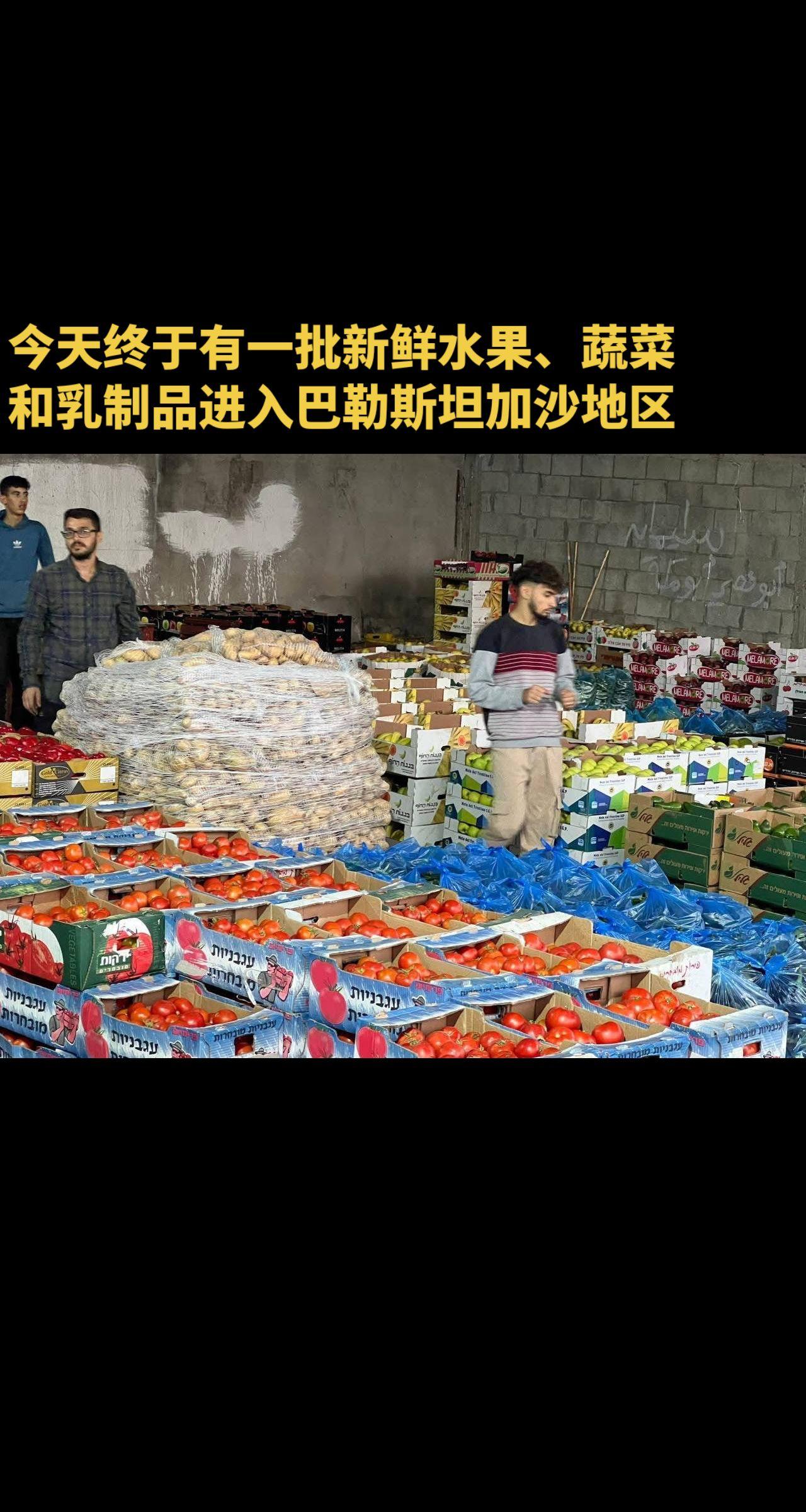 今天终于有一批新鲜水果、蔬菜和乳制品进入巴勒斯坦加沙地区。