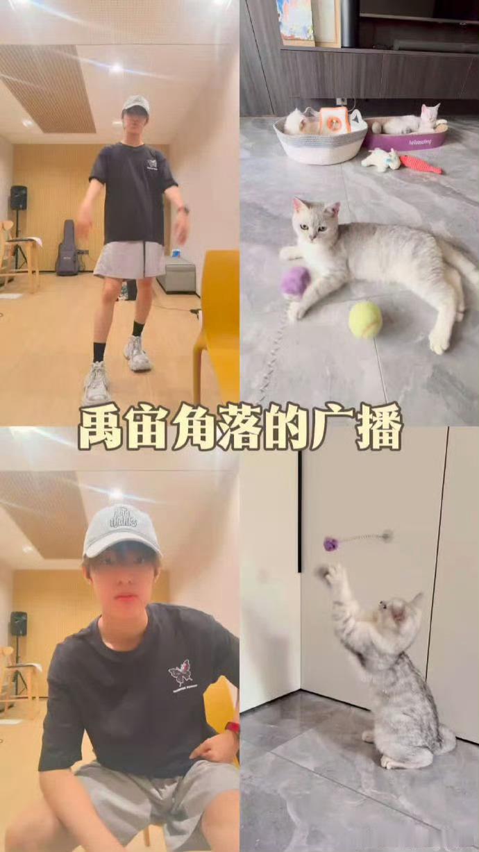 张泽禹给猫起名复制粘贴谁还没被张泽禹给猫起的名字笑到？本来以为是美食系，结果是电