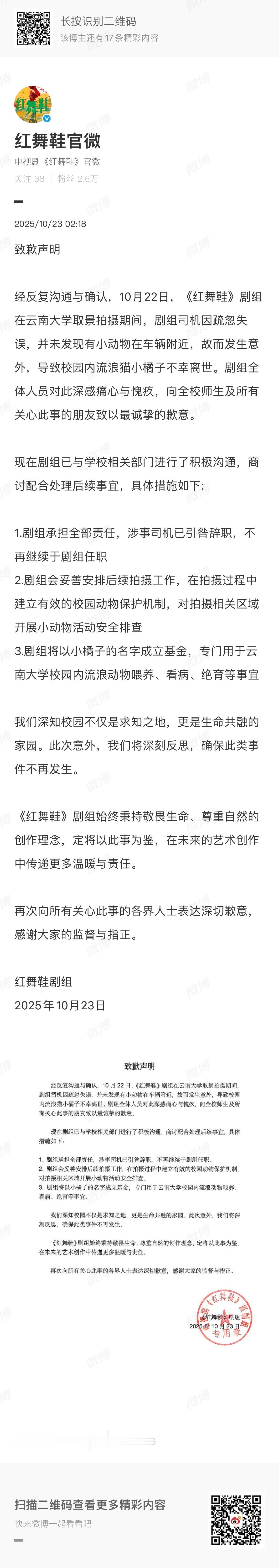 《红舞鞋》剧组官微凌晨发布致歉声明，称因剧组司机疏忽失误，导致校园内流浪猫小橘子