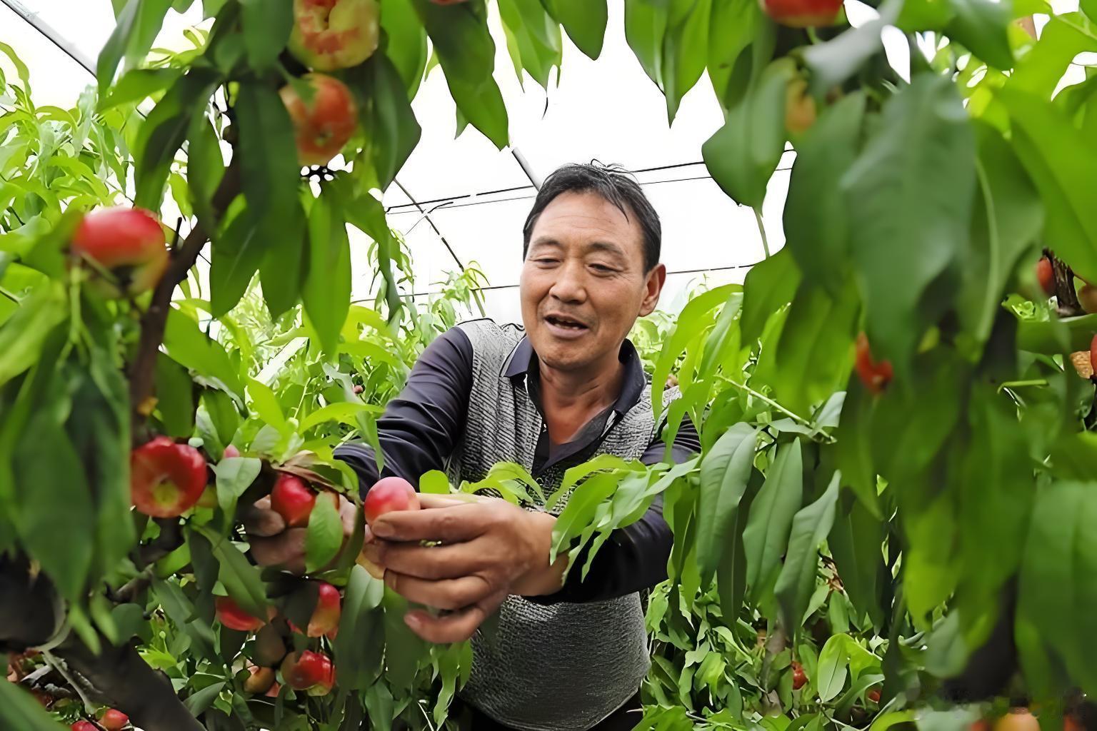 我看了下十四五期间数据，GDP增量超35万亿。很多人好像自己收入没提高，就认为数