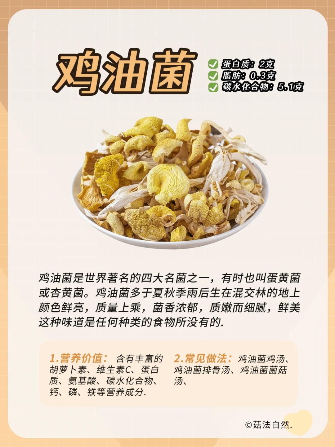 🔥每日菌菇科普——鸡油菌❗️