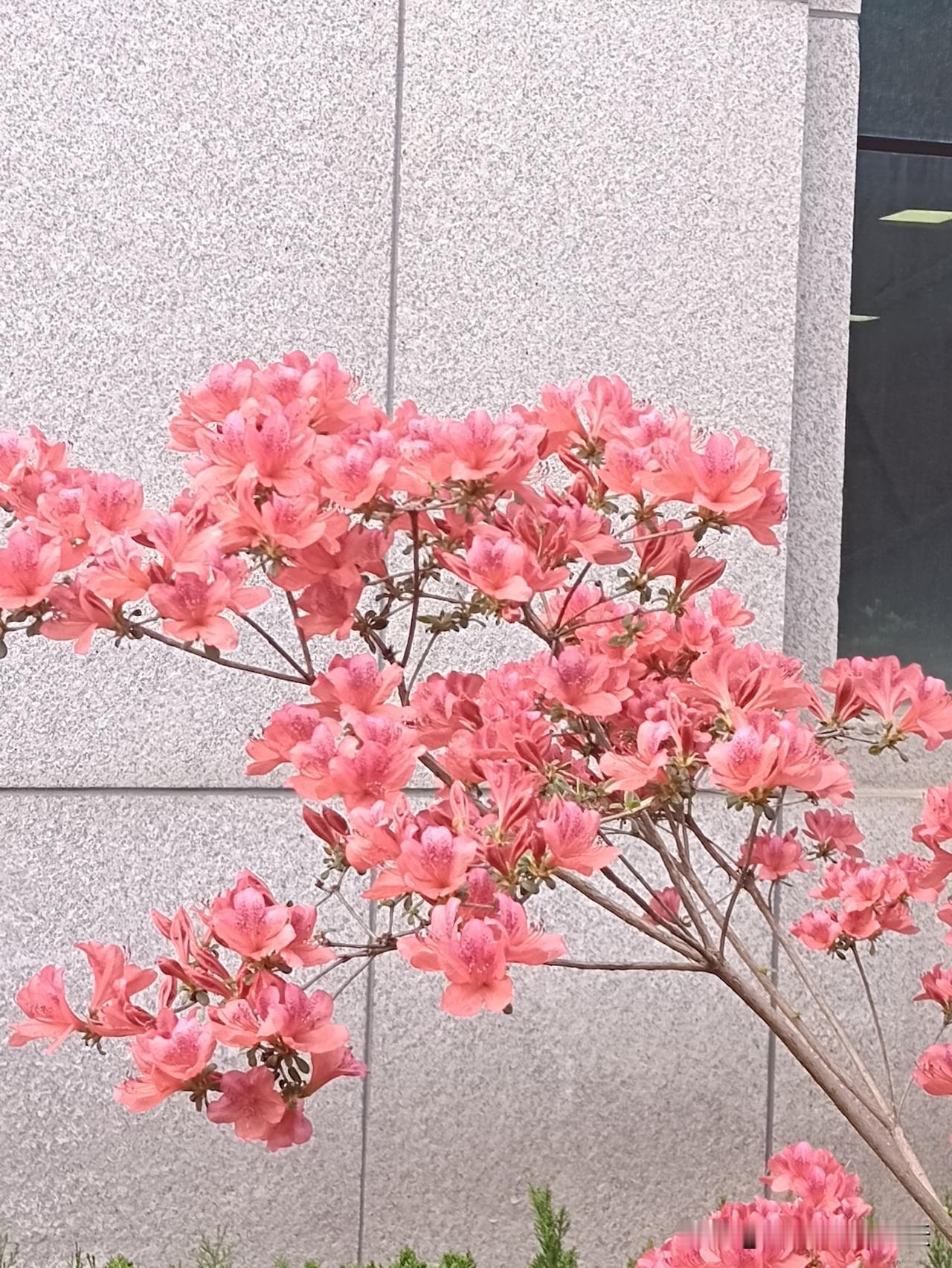 什么叫人情世故
朋友请你吃饭，你想带瓶酒过去，朋友说“不用带东西，人来就行”。低