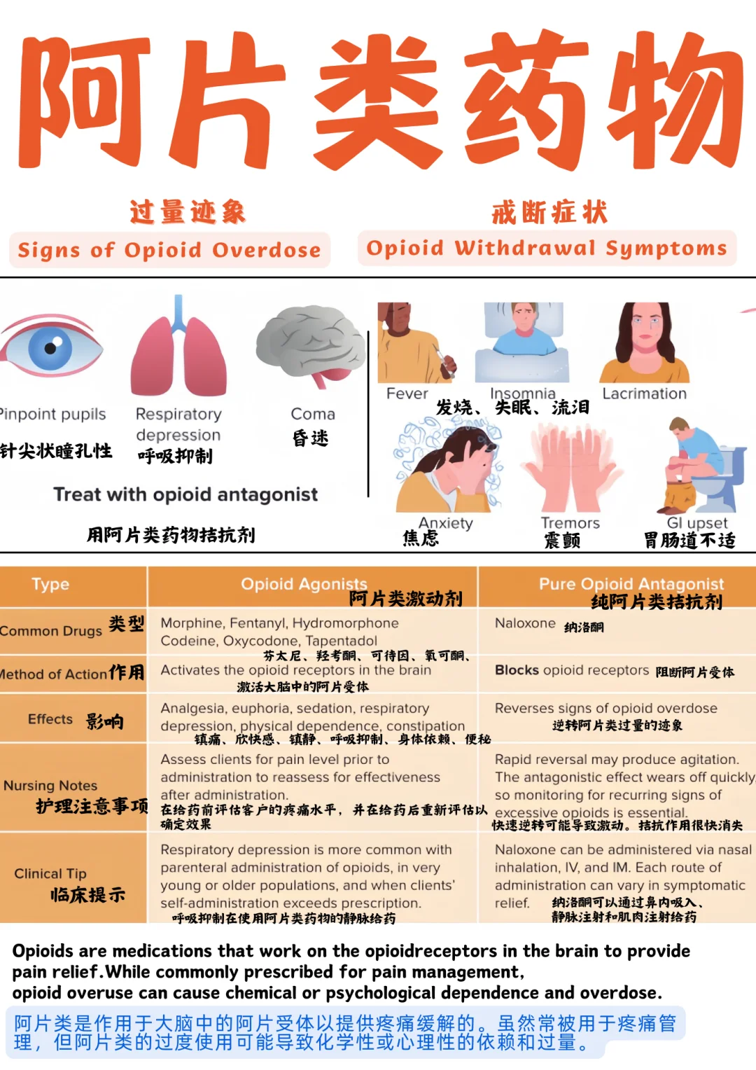 备考RN/阿片类药物！！学！！单词