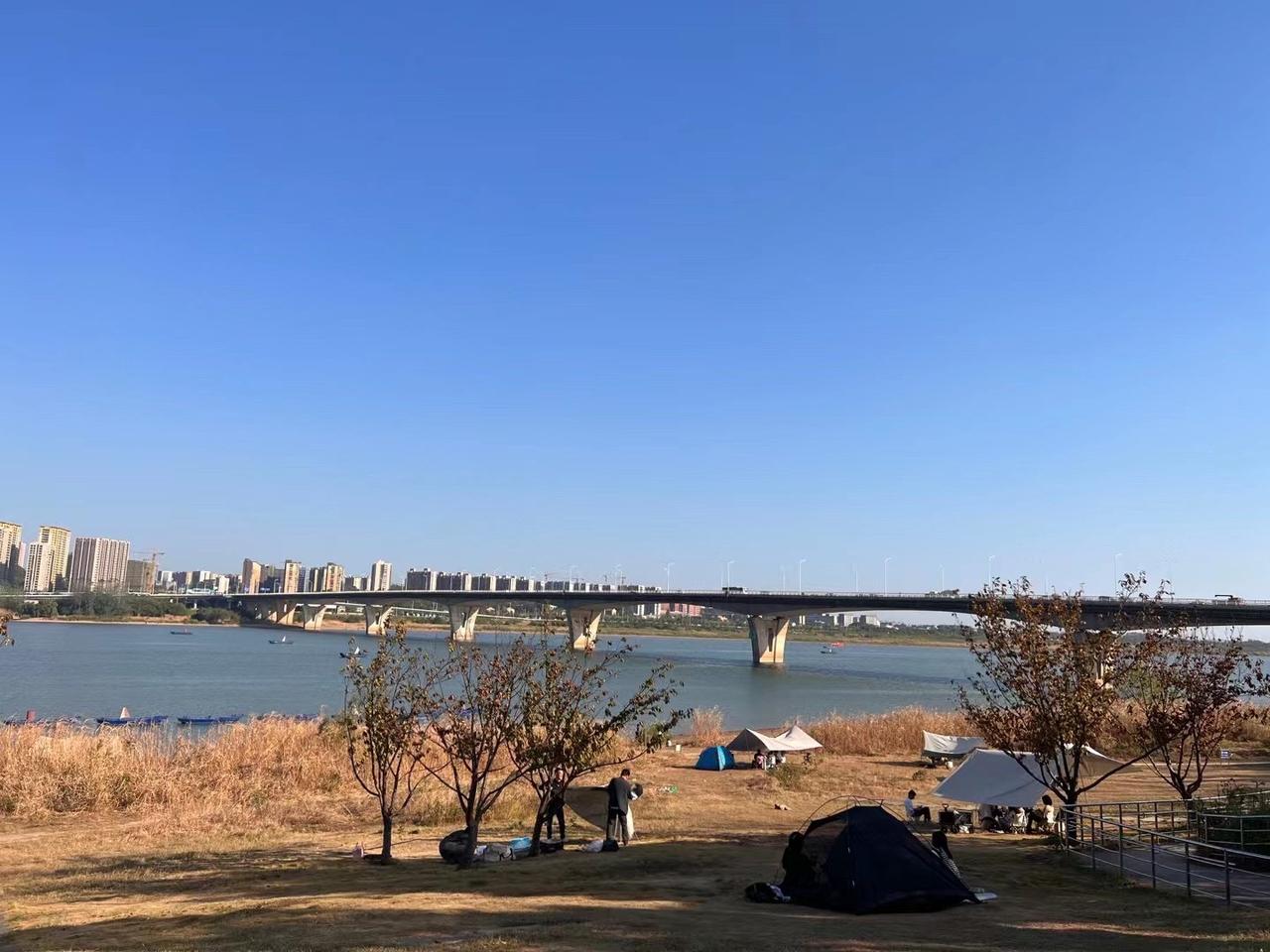 #治愈系风景 长沙南边近期绝佳打卡地，记得爱护环境喔 ，湘府路大桥河西正桥下 @