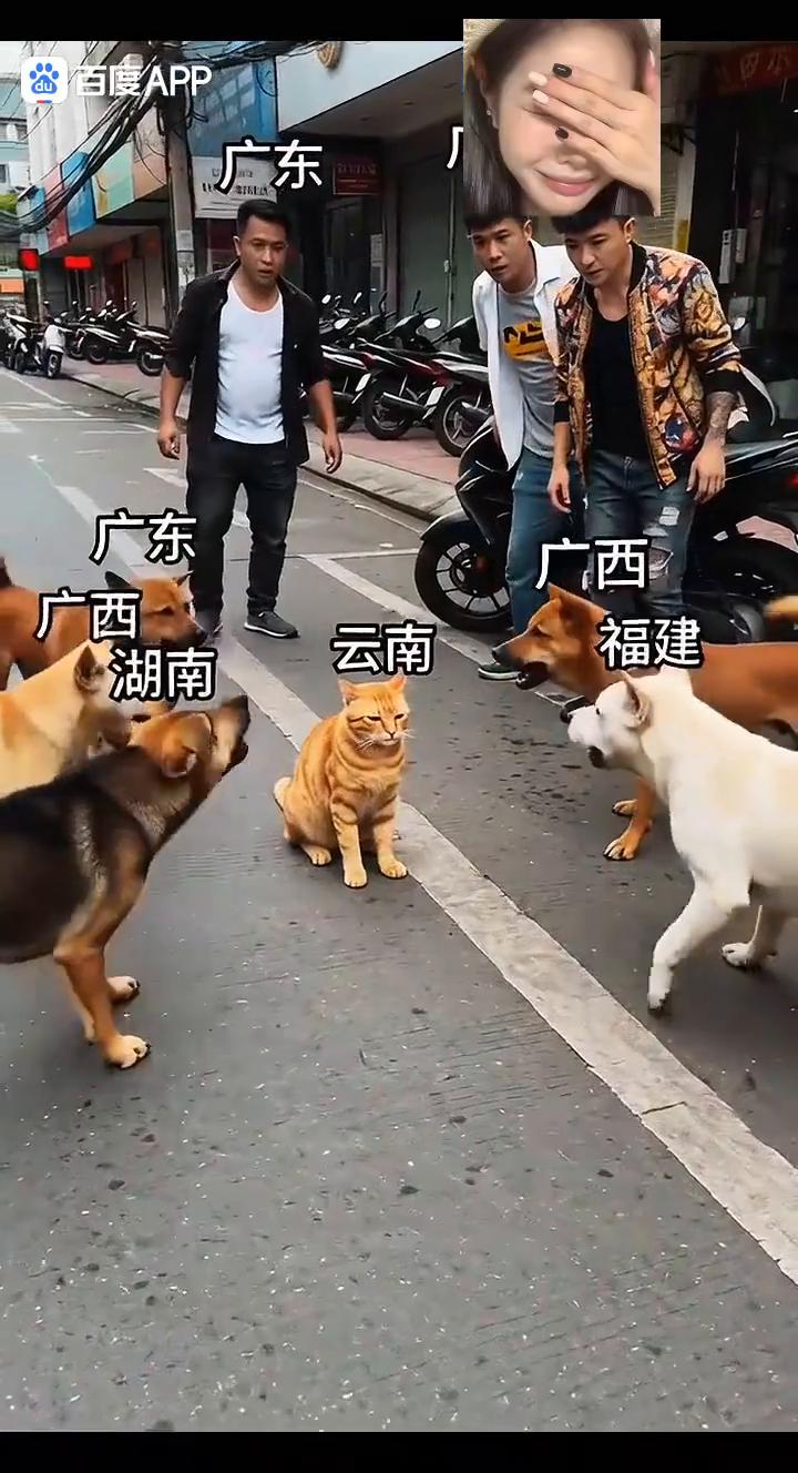 广东、广西、福建、湖南、云南、湖南。