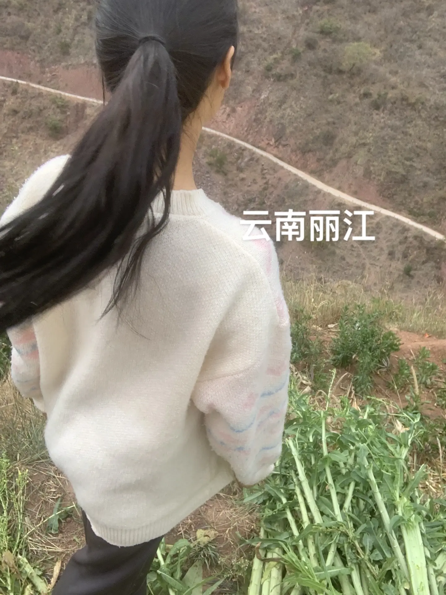继续奋斗😅