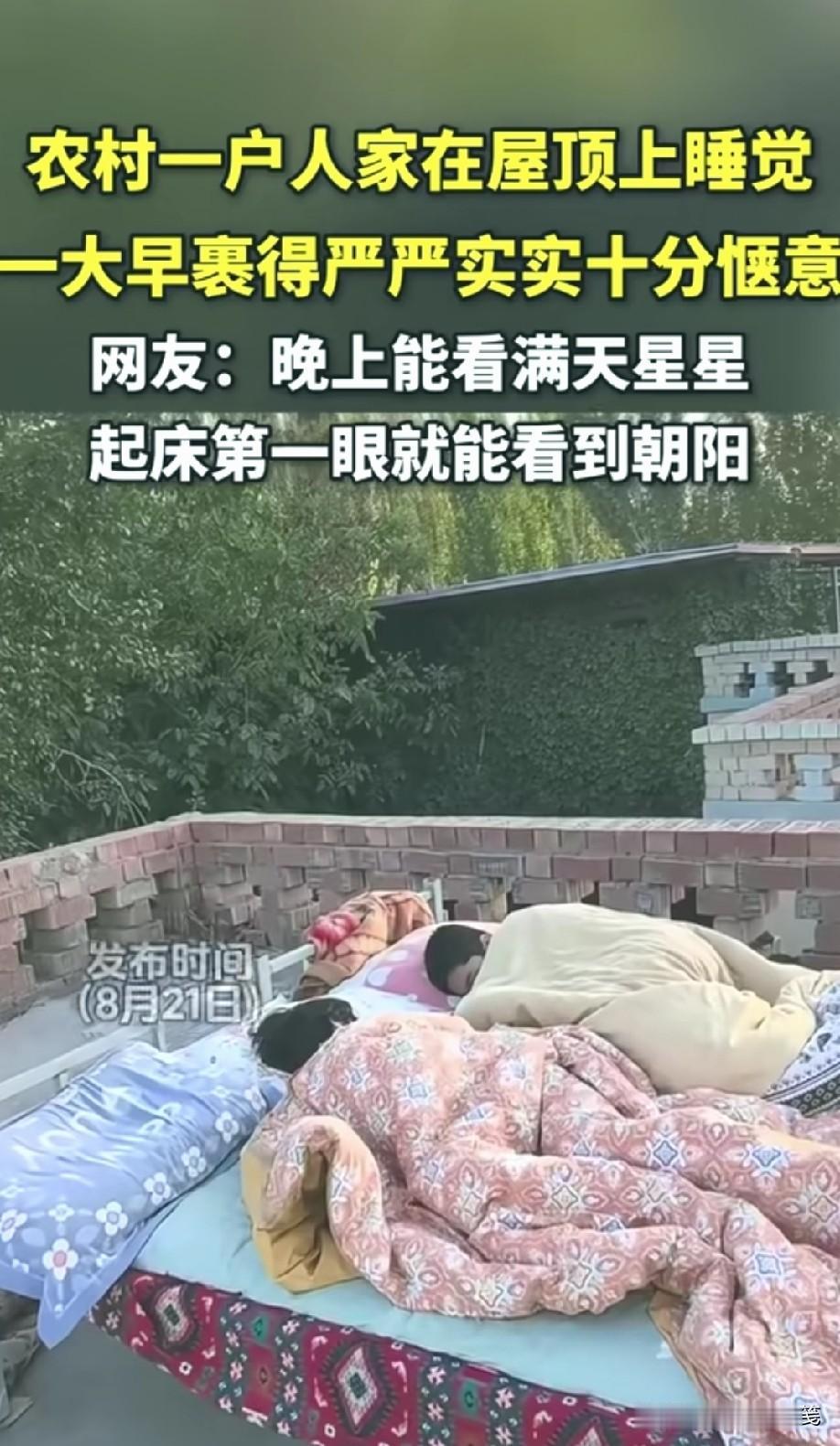 不怕蚊子的么[what]