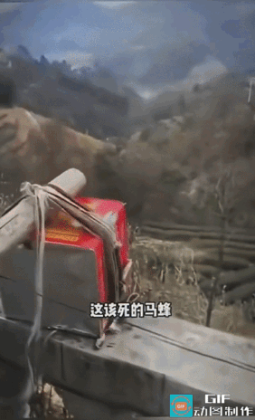 蚂蜂：兄弟，我就是轻轻问候你一下，你这是直接把我老家拆成经济适用房啊？
小伙子：