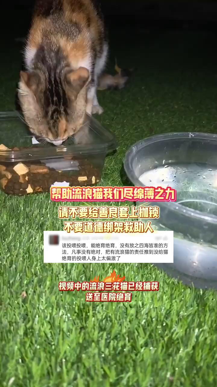 帮助流浪猫我们尽绵薄之力，请不要给善良套上枷锁，不要道德绑架救助人。
该投喂投喂