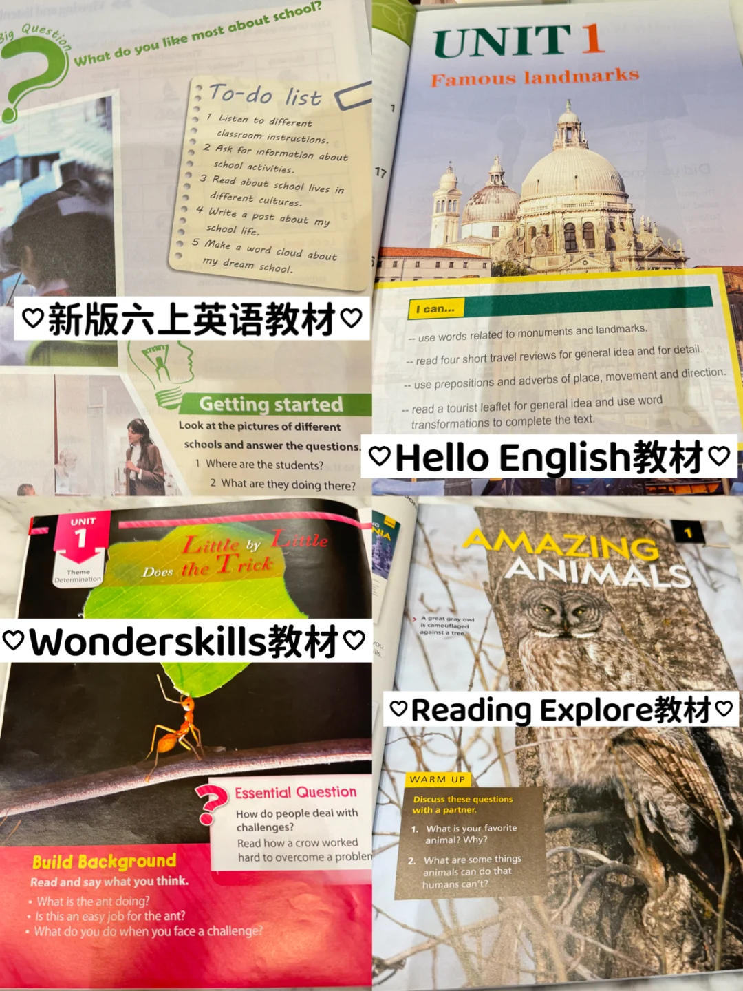 新版六上英语教材，上海小朋友原版脑袋狂喜