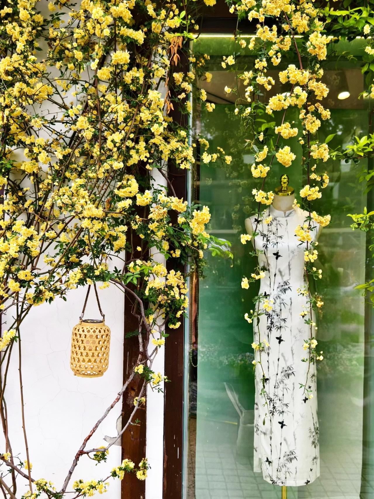 江南别无可赠，
姑且寄你一枝春色。

苏州山塘街‌，
又称“七里山塘”。

‌是