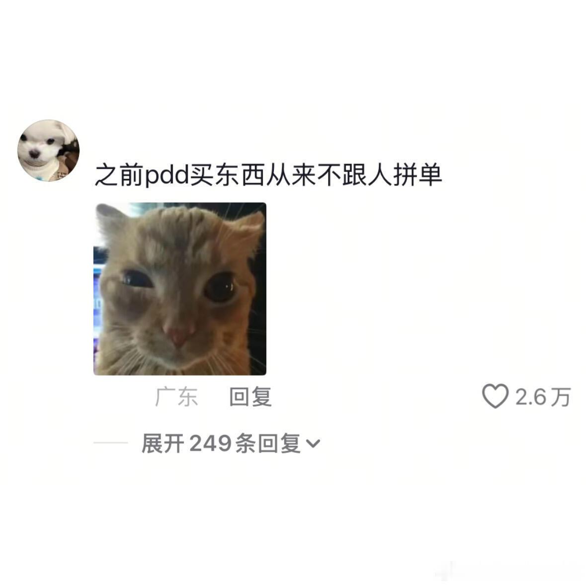 小时候不补数学家里能多套房夸一夏派对