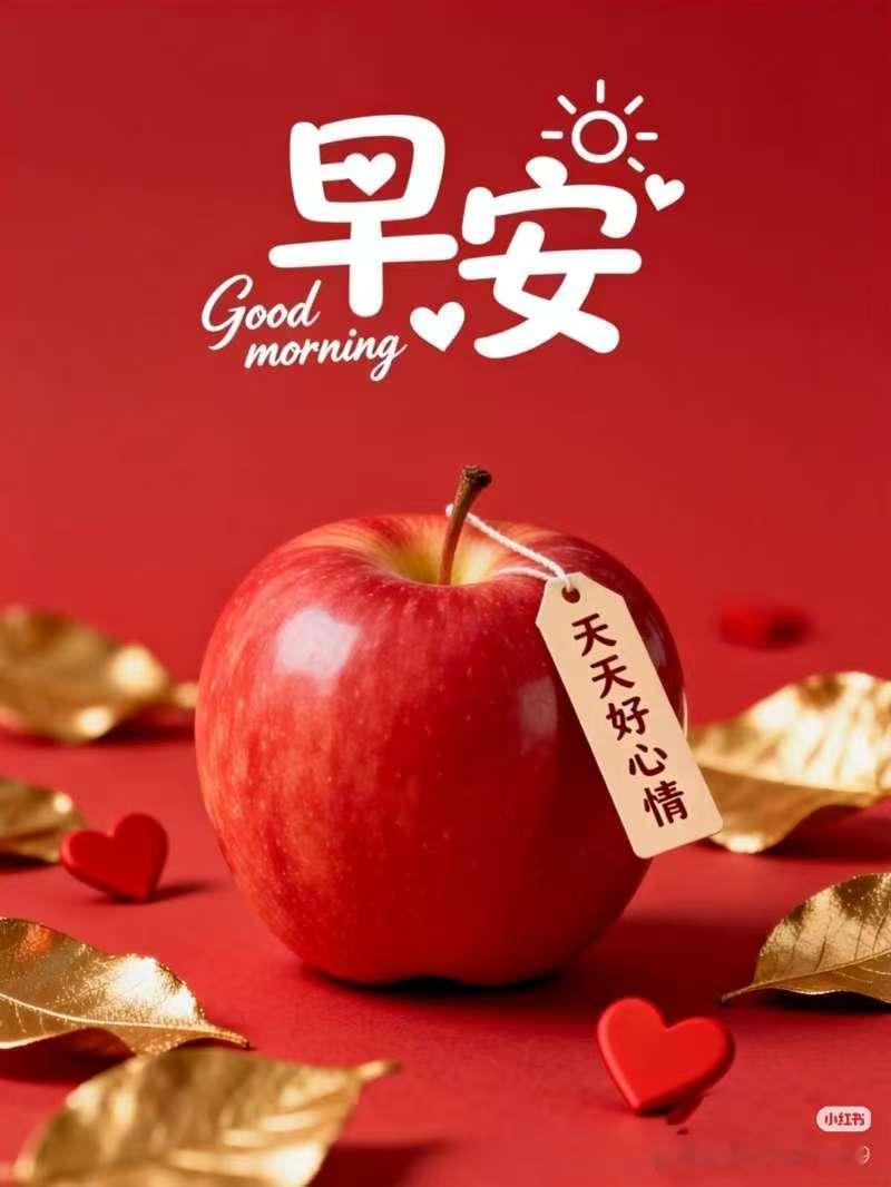 美麗冰冷的冬天，
旭日遲緩中升起，
陽光帶來了明媚，
問候送去了平安，
祝福呈上