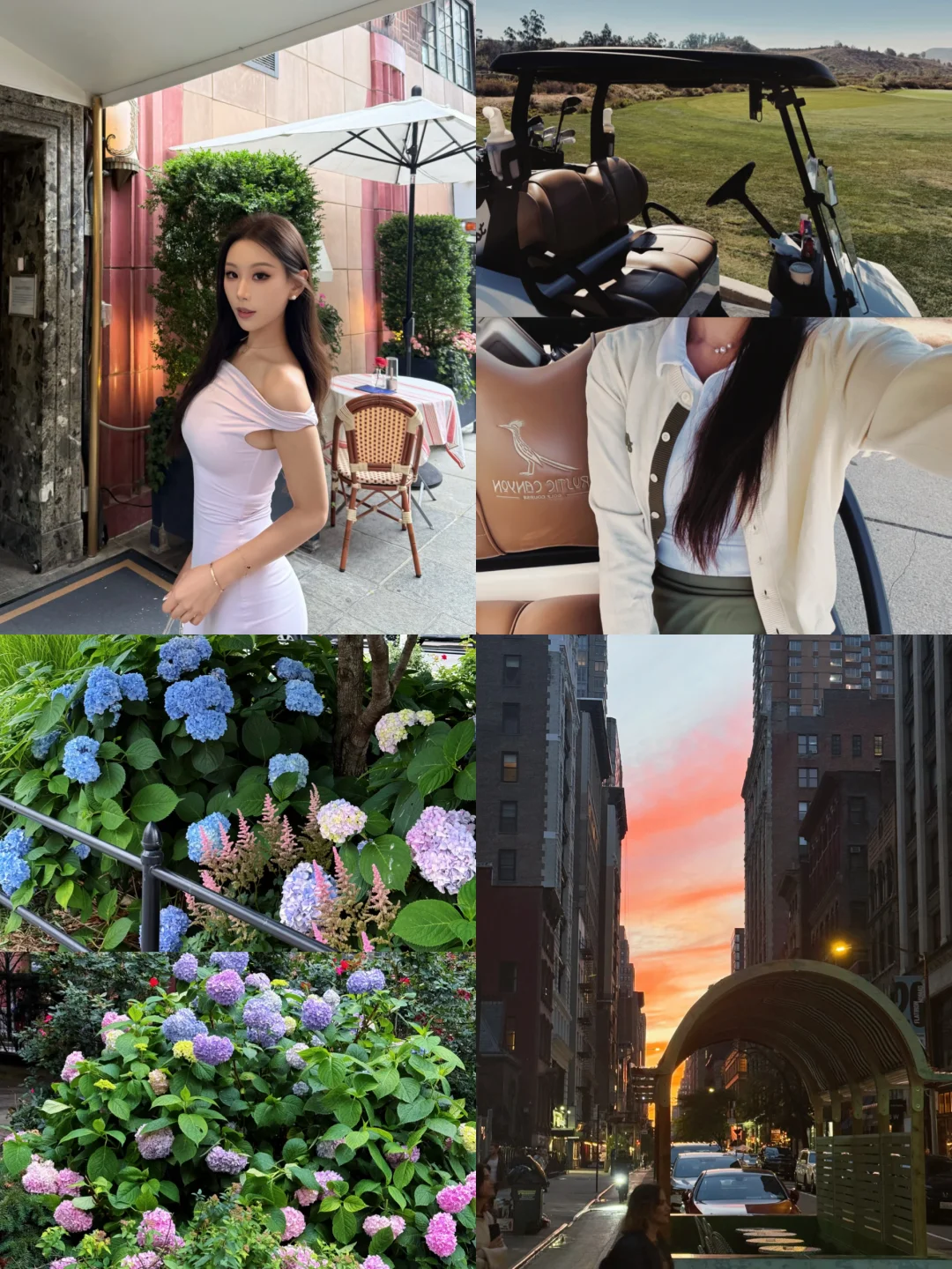 𝐒𝐮𝐦𝐦𝐞𝐫 𝐏𝐥𝐨𝐠🌳