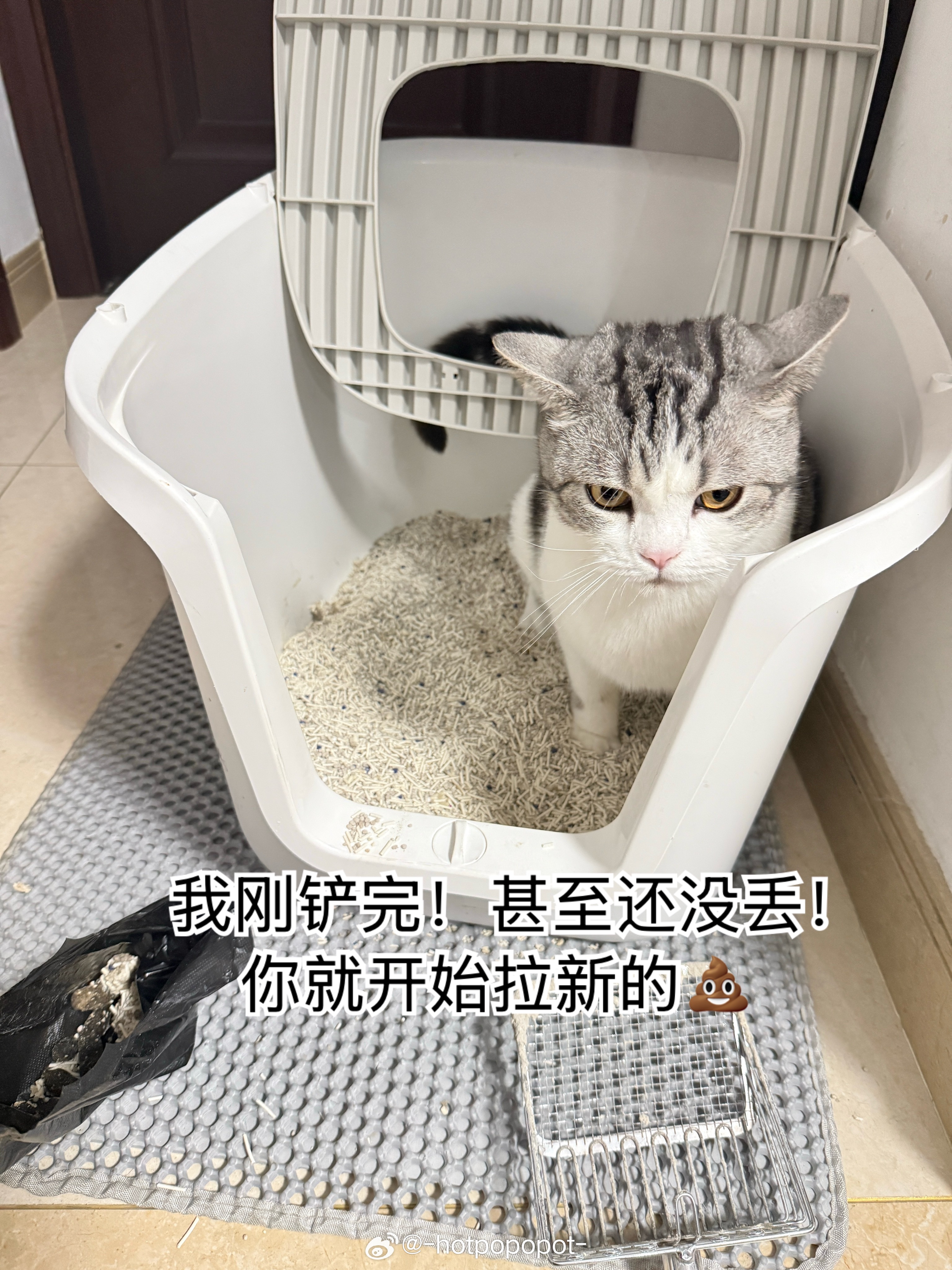 发点没发过的五月 