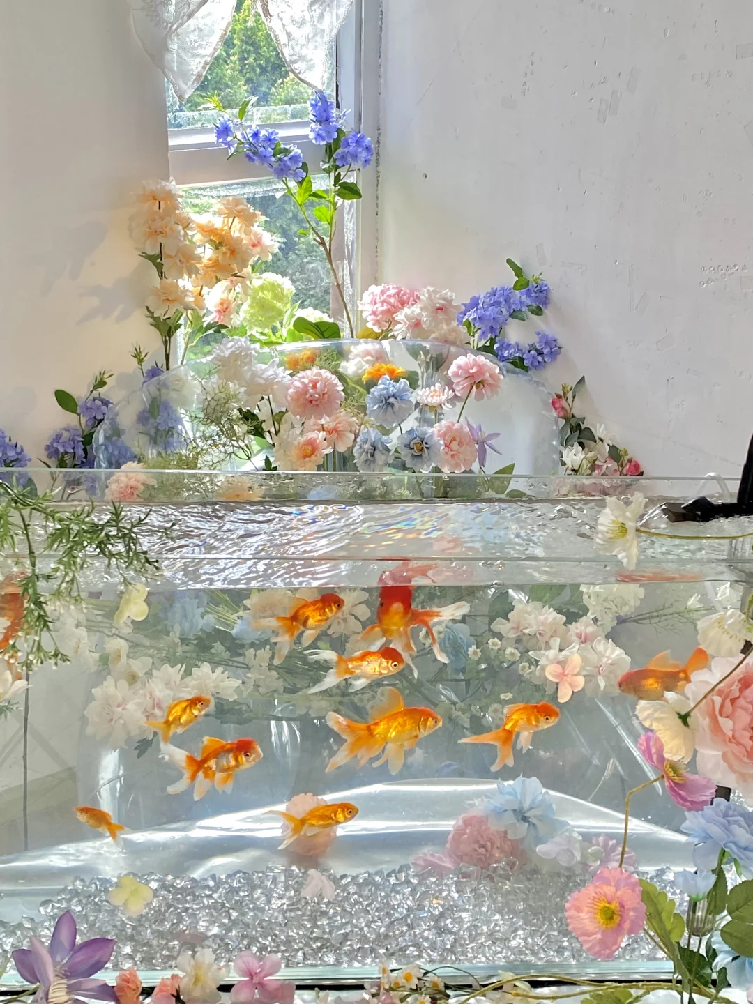 惠州探店🐟梦幻金鱼场景