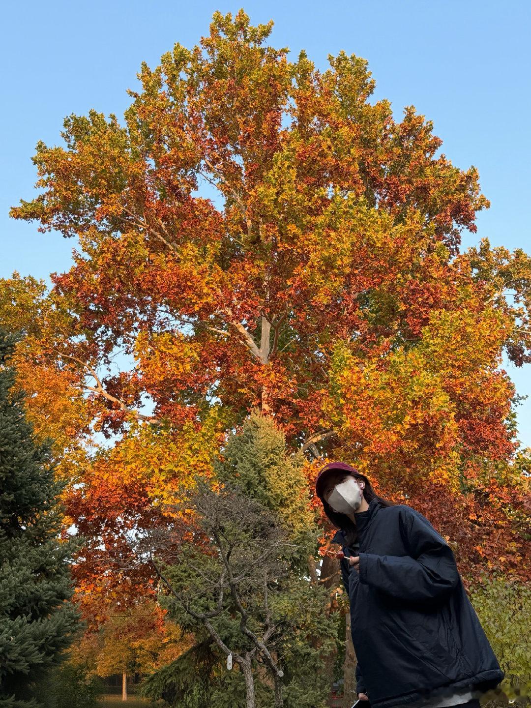 赵今麦继续积攒自然的力量 继续积攒自然的力量 