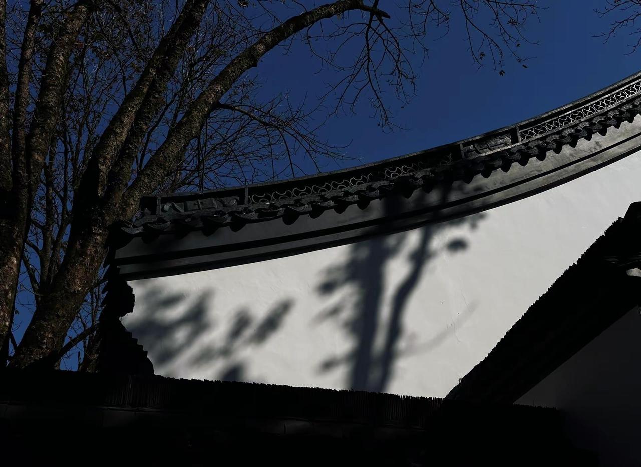 不必在回忆的长河里刻舟求剑，他狂任他狂