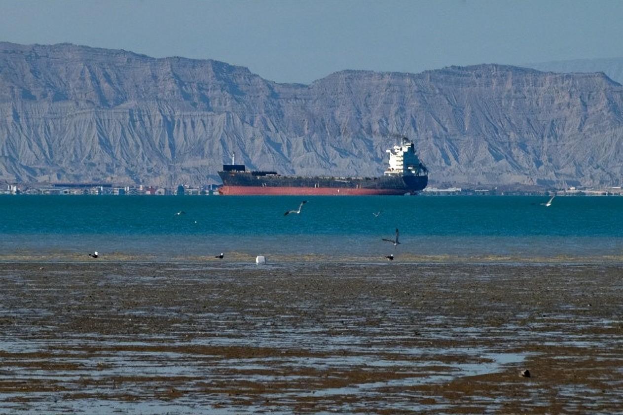 油价坐上“云霄飞车”，黄金玩起“高空跳水”！霍尔木兹海峡到底发生了什么？
 
最