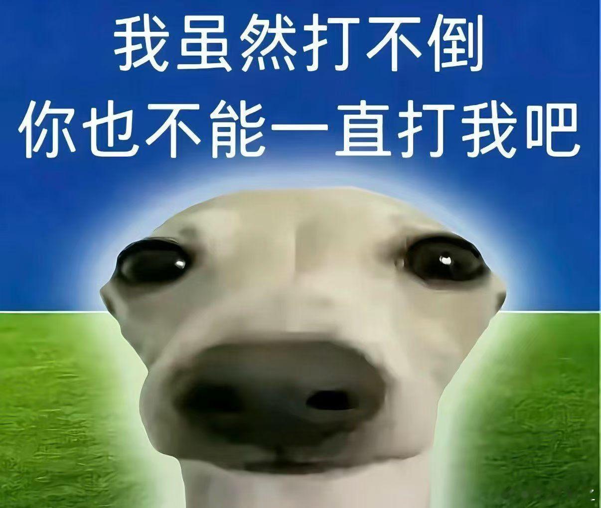 分享图片 ​​​