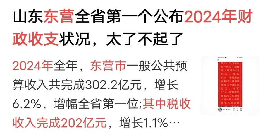 东营排名全省第二位，是真牛啊！


东营市抢先公布了2024年的财政收入状况如下