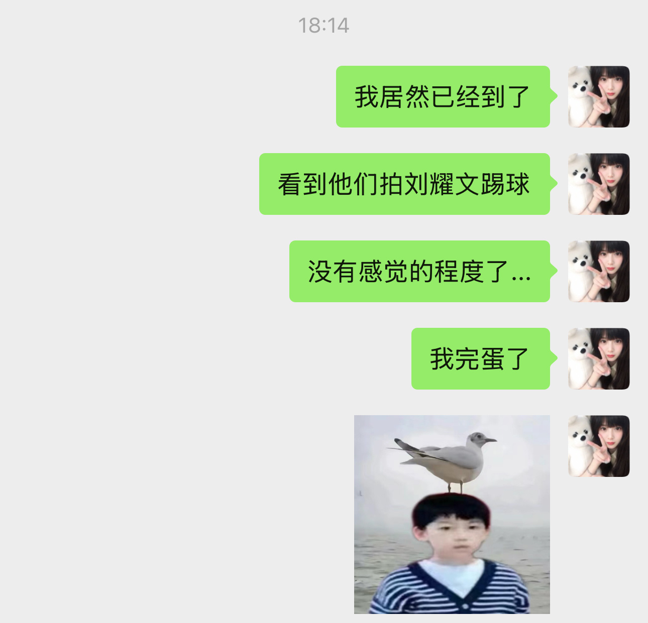 我只想一个蛋 