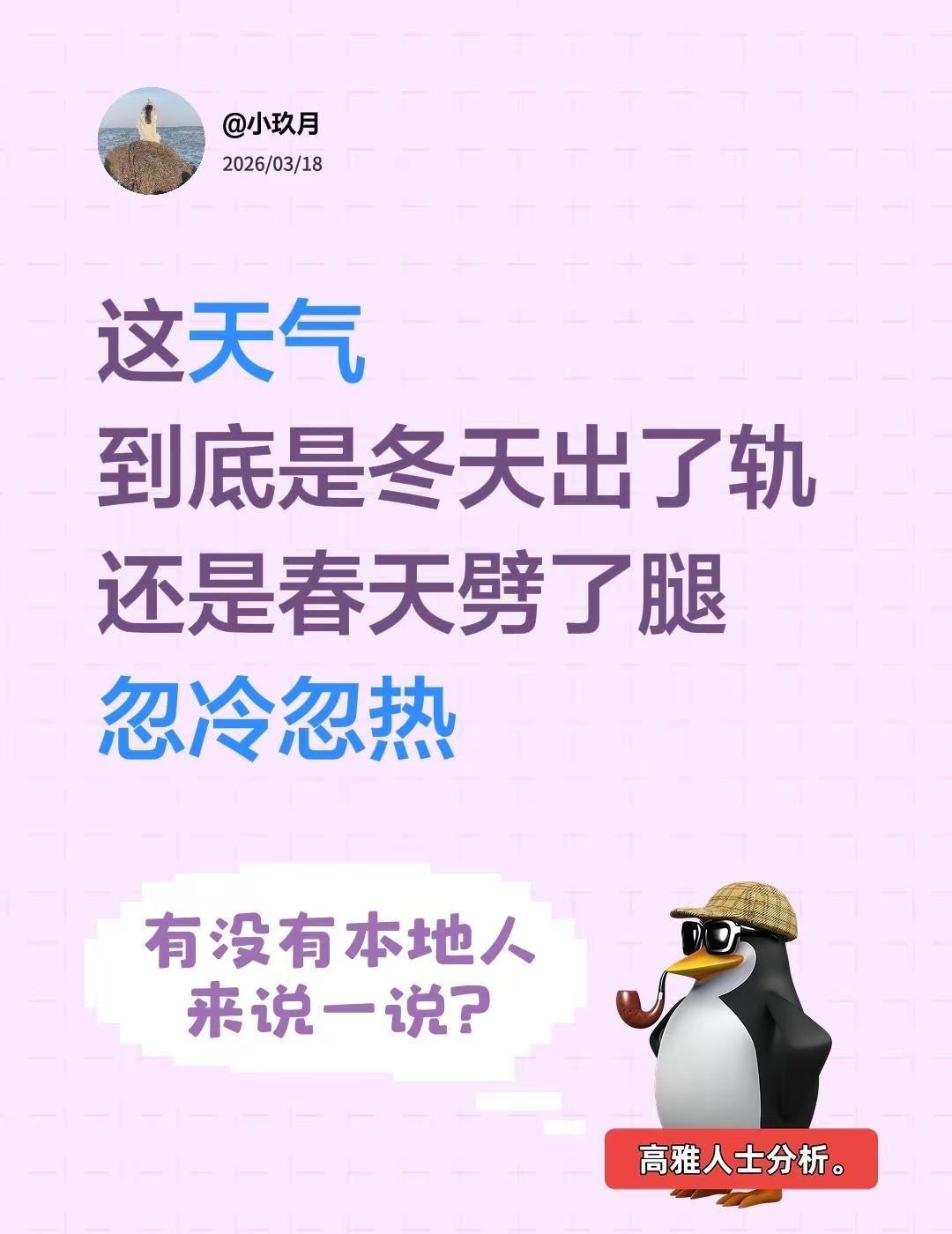 这天气到底是冬天出了轨还是春天劈了腿忽冷忽热春天