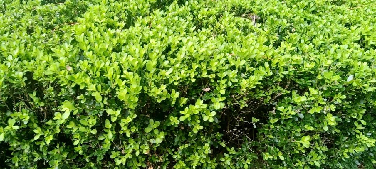 #一句话记录秋日心情#秋天是收获的季节，秋天也是重新开始出发的季节，我进入人生的