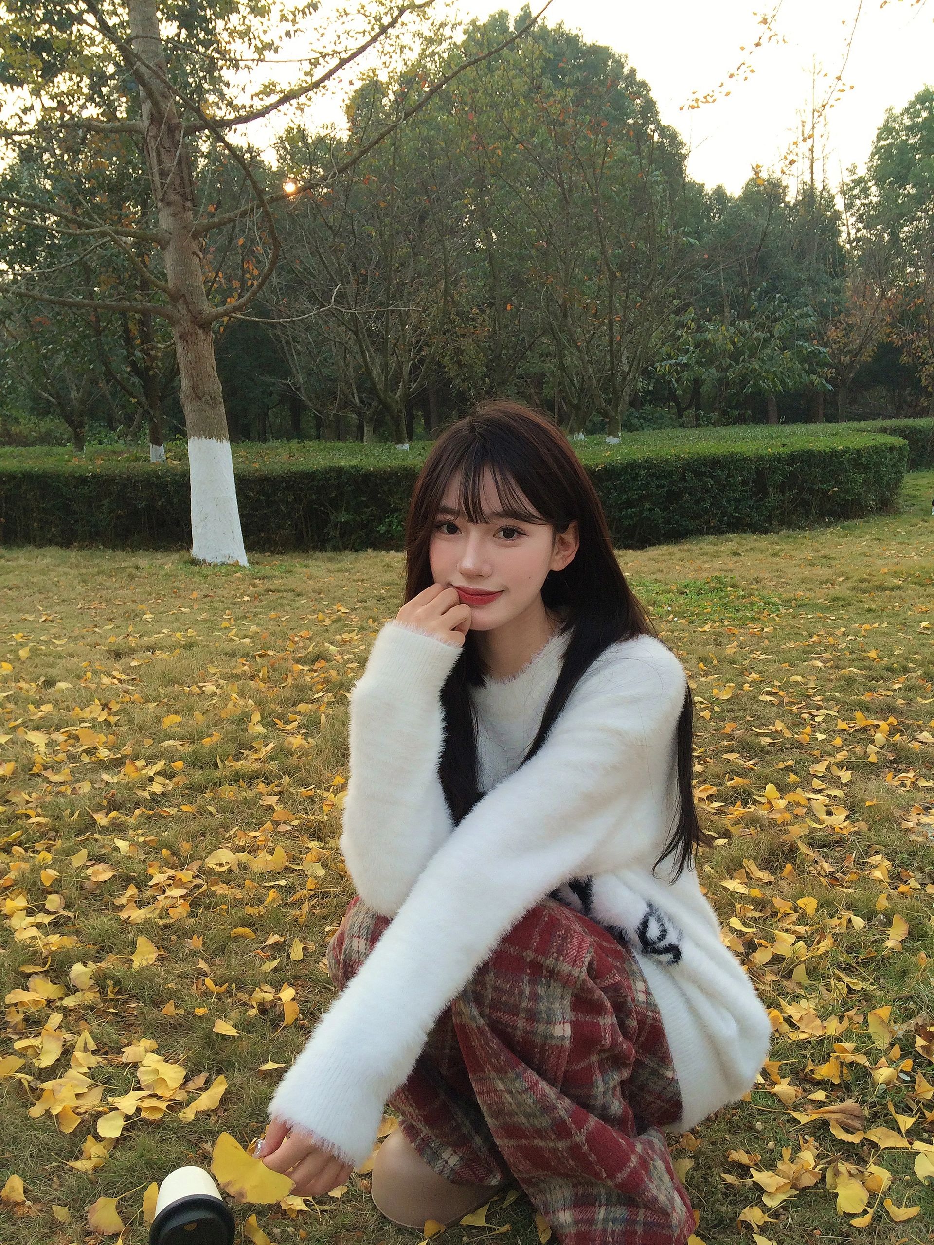 冬日来杏