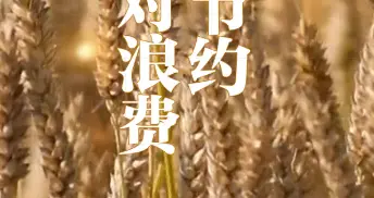 「网络公益活动」厉行节约 反对浪费！我接力 我倡议