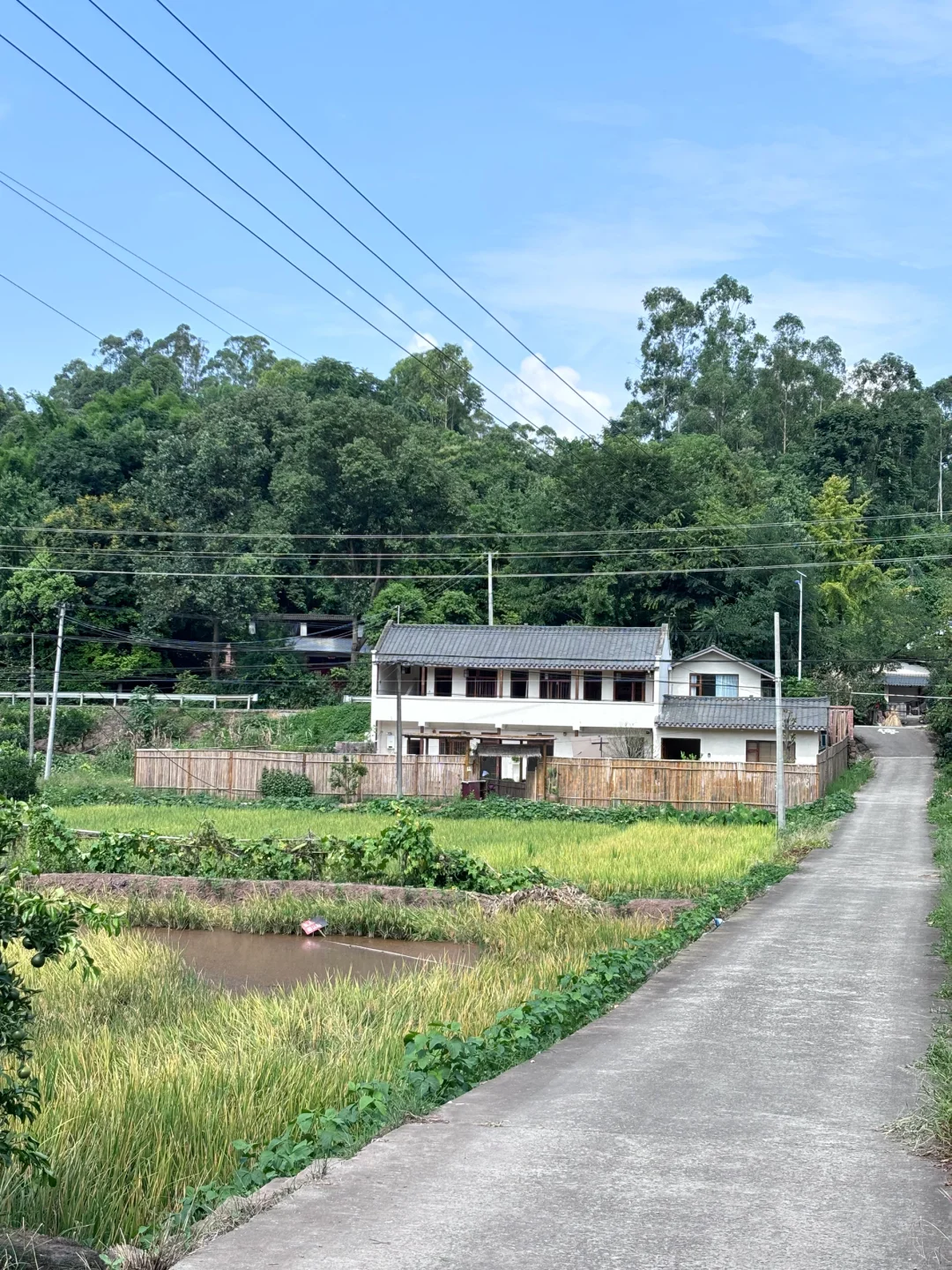 我还是喜欢我的农村小房子🏠