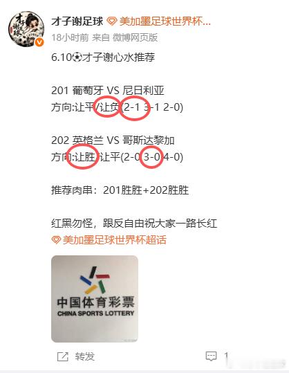 2026年6月11日🏆世界杯⚽️才子谢心水推荐001 墨西哥 VS 南非参考：
