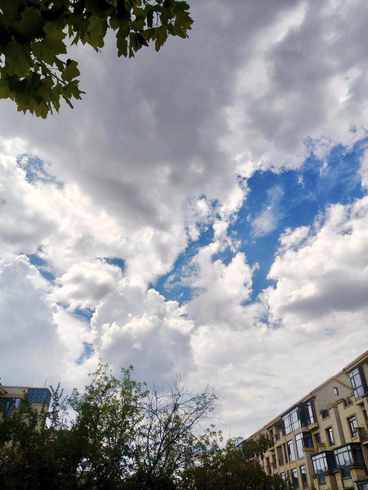 天什么时候变🉐这么蓝了……