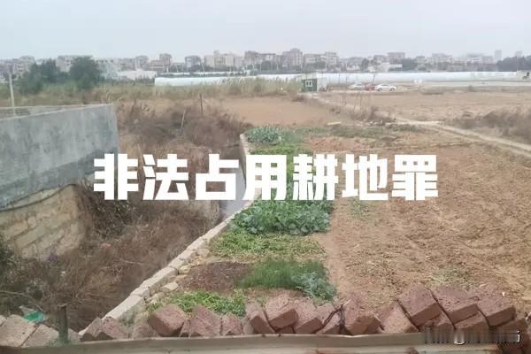 有人违法占用耕地怎么办?
违法占用耕地，只要是事实，直接向自然资源局举报，自然资