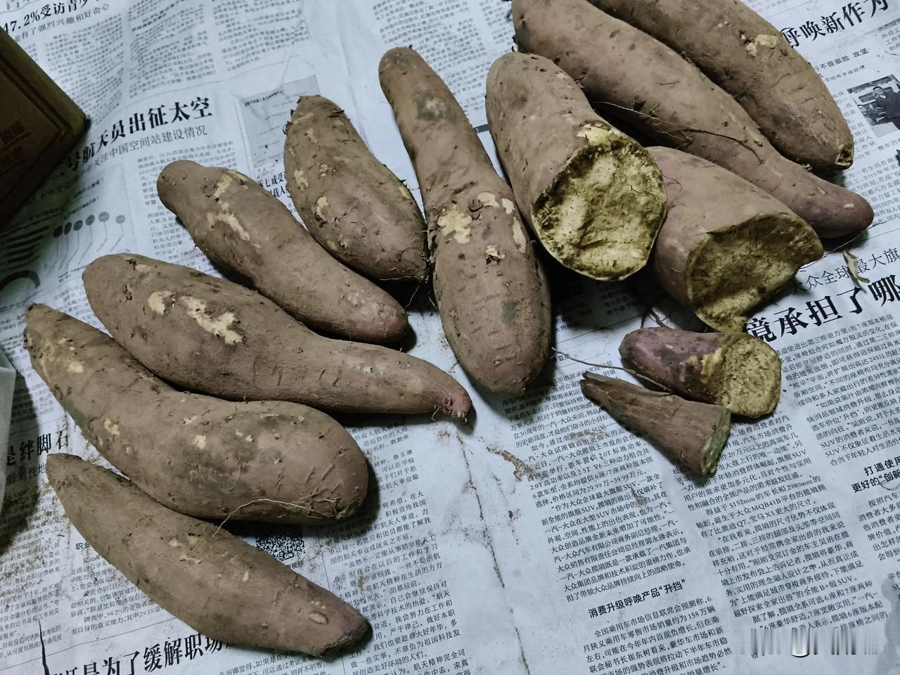 红薯这个东西真的特别好，可以作为减脂餐，也可以作为宝宝的辅食，吃了以后还可以治便