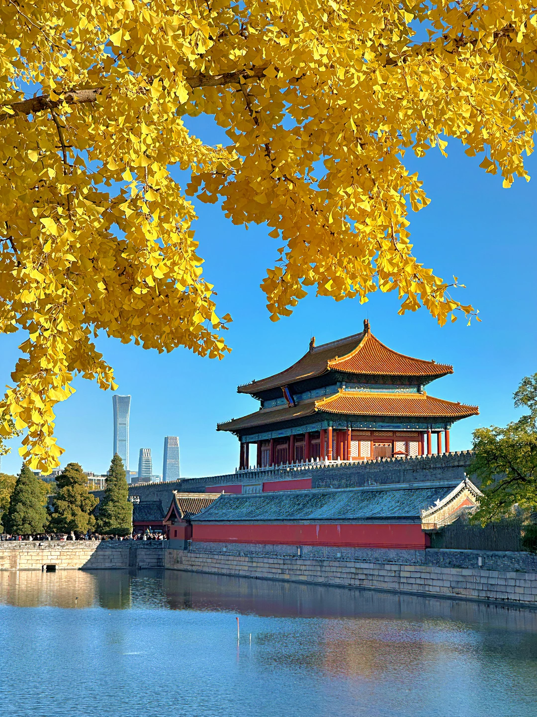 已经开始期待北平的秋天🍂附赏秋攻略