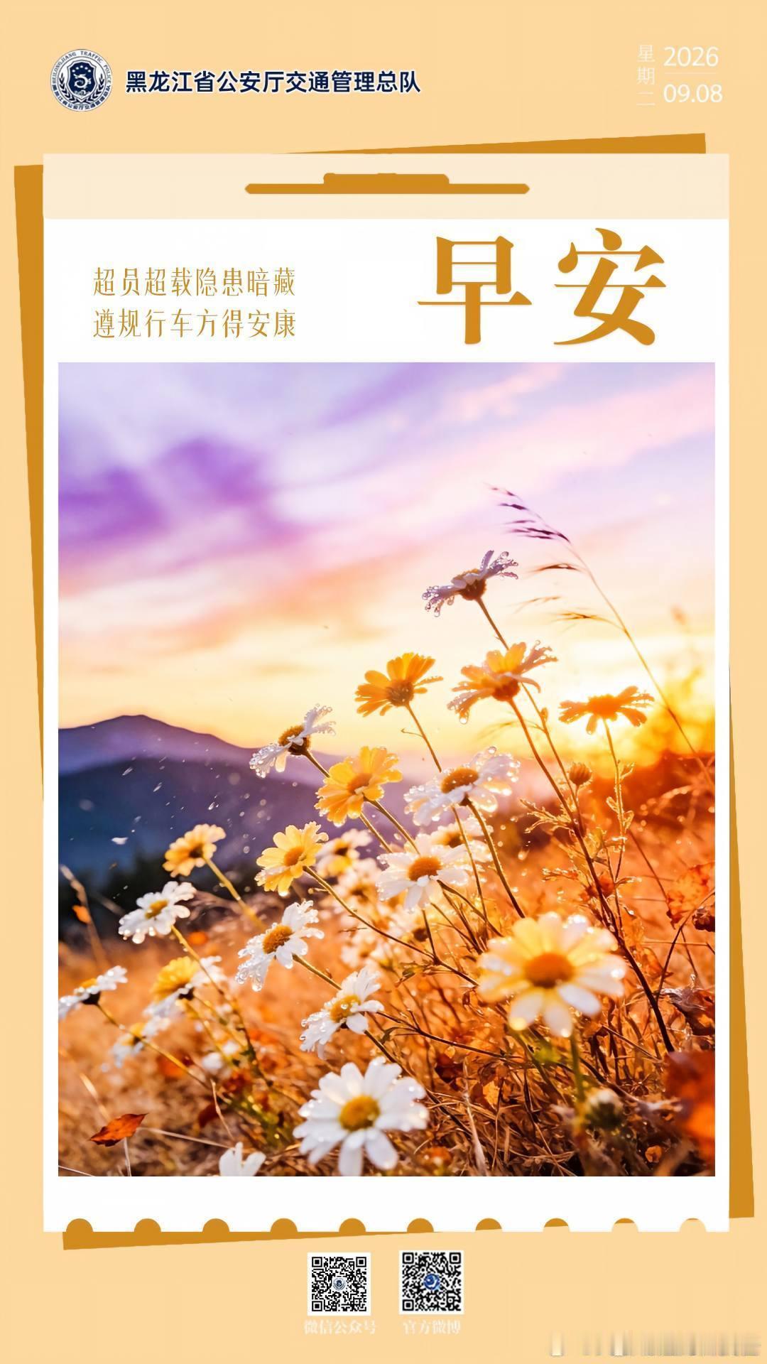 早安[超话]  超员超载隐患暗藏，遵规行车方得安康。早安[太阳][太阳]早安高小