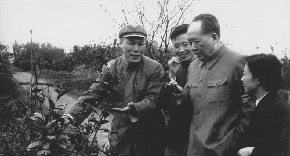 毛主席为关注抗战时期的民生，不惜冒险。
1941 年，冀中根据地被日军封锁，有人