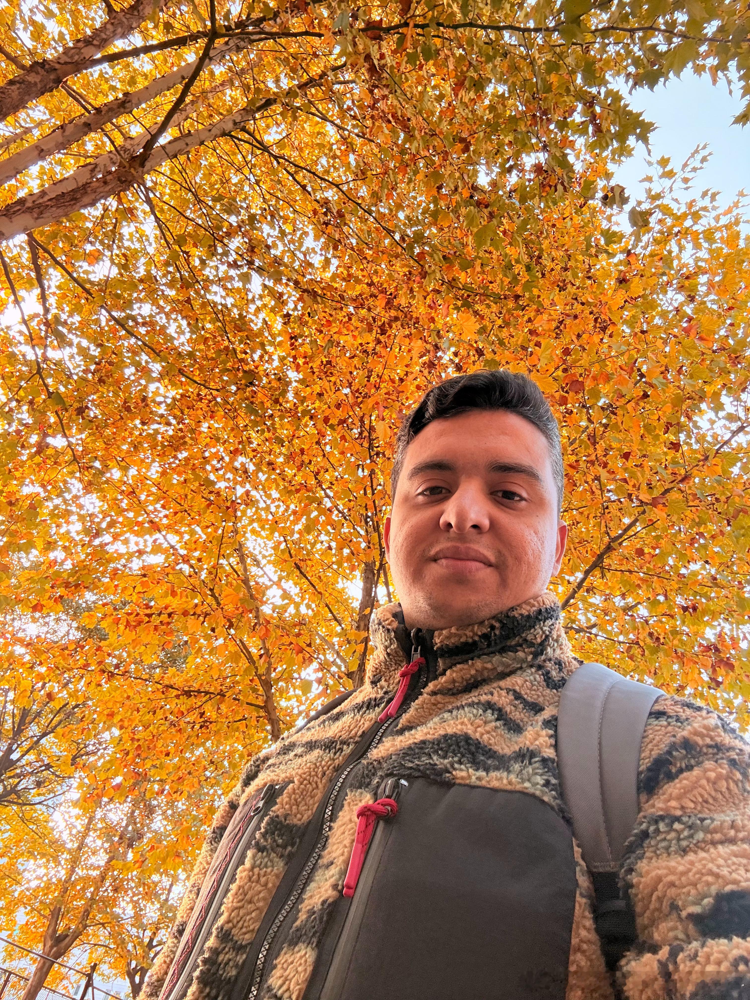 秋～ 🍂🍁🍂🍁🍂🍁秋天金秋天十一月你好 ​​​