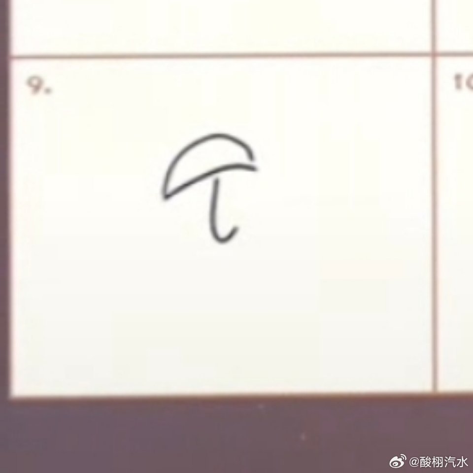 这个雨伞是什么？ 