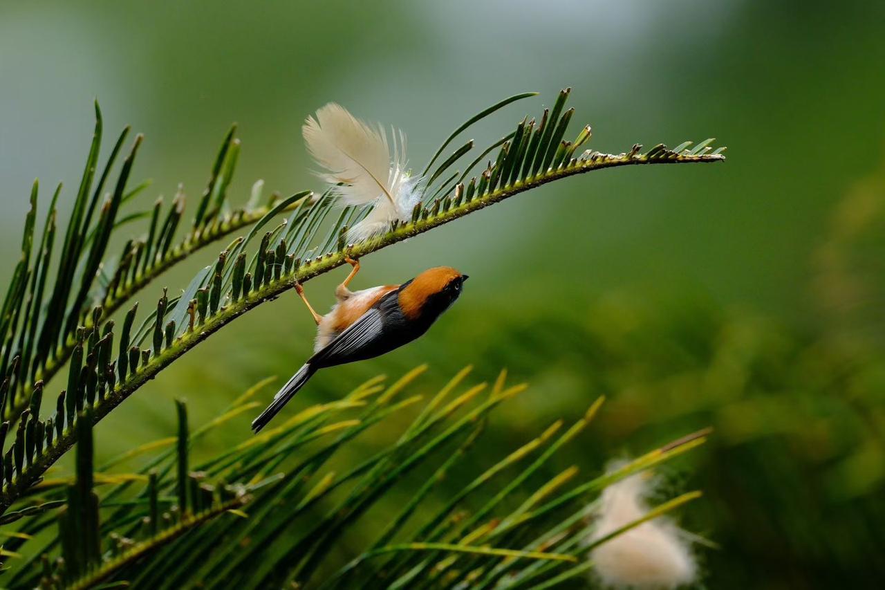 只要思想不滑坡，方法总比困难多。