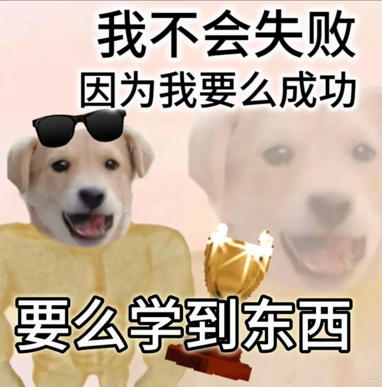 "每年夏天都说要去学冲浪，每年都没去今年刷到美团旅行王牌海岛季海岛造浪节国职教练