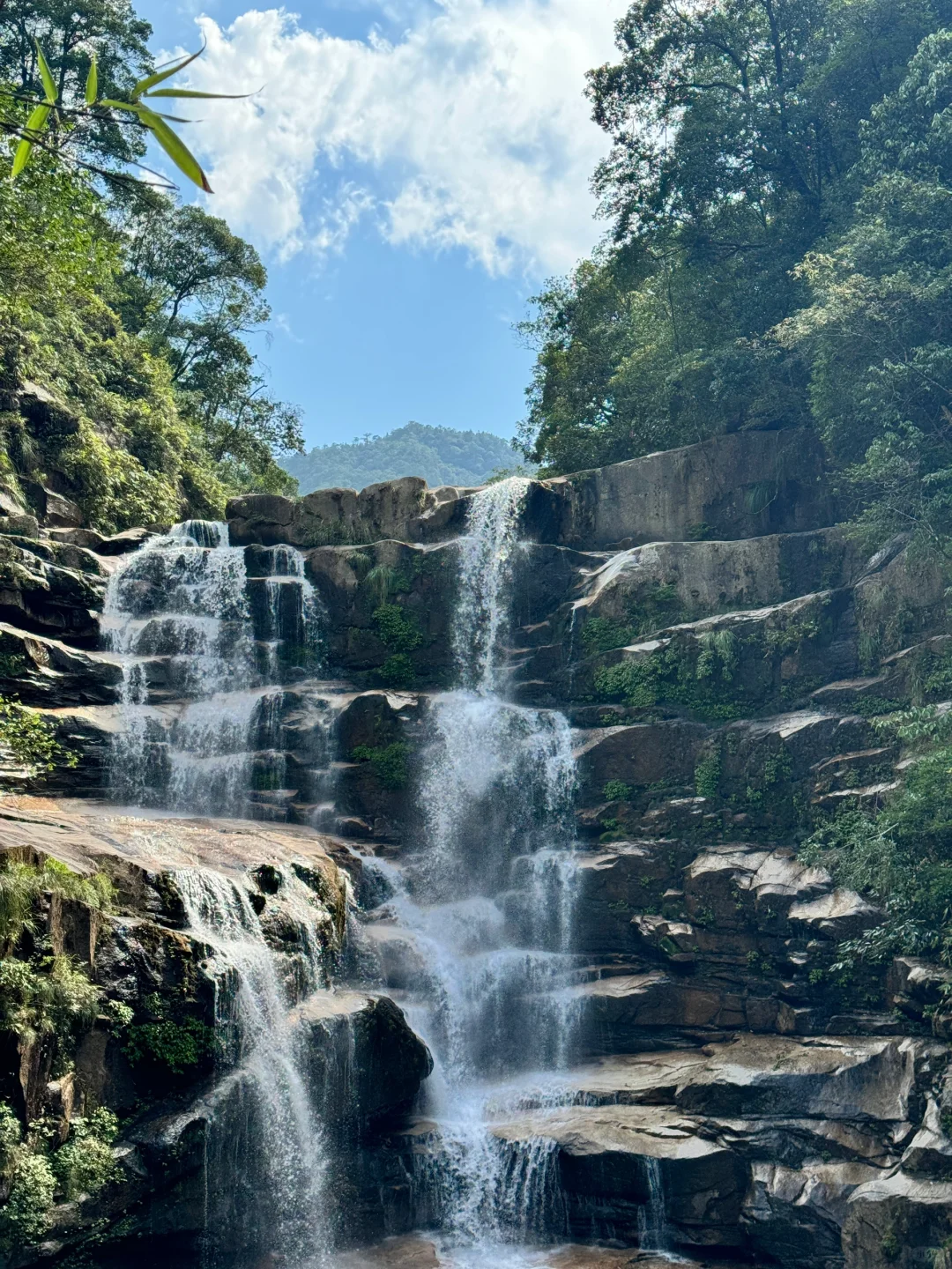 热死了热死了🥵幸好🈶武夷山⛰️