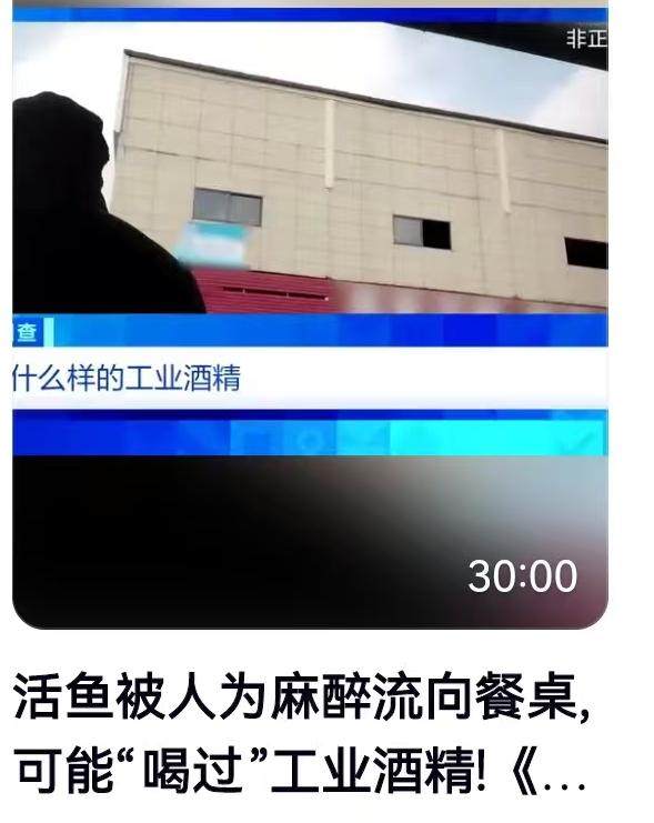 一条活蹦乱跳的鱼，端上餐桌前究竟经历了什么？很多人以为那是“新鲜”的代名词，殊不