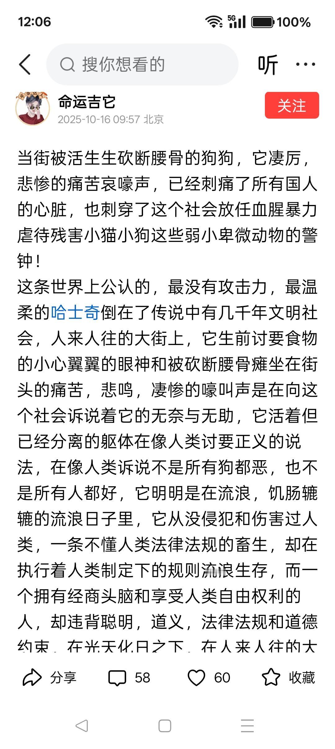 为了一条狗，有些人造谣中伤、颠倒是非！

对于成都某店主砍伤一条恶狗，当地官方已