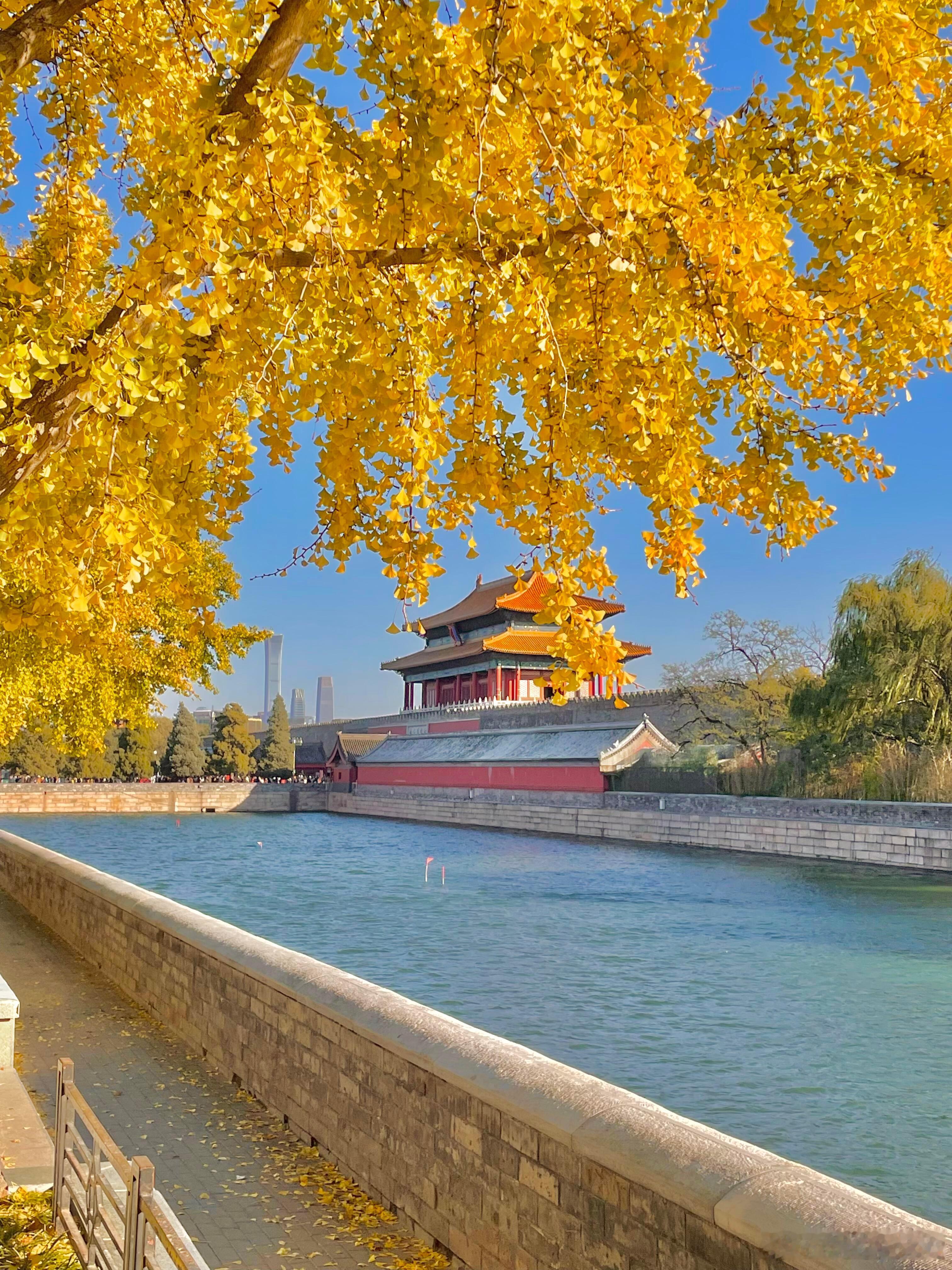晒出我的年度兴趣好好出门的一年都说秋天一定要去趟北京，今年终于把这份念想变成了现