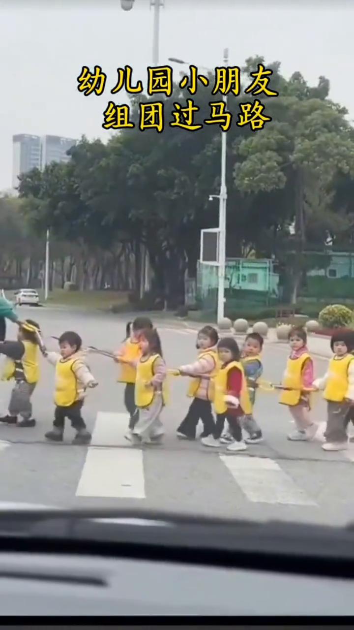 幼儿园小朋友组团过马路。
西湖美景，三月天。