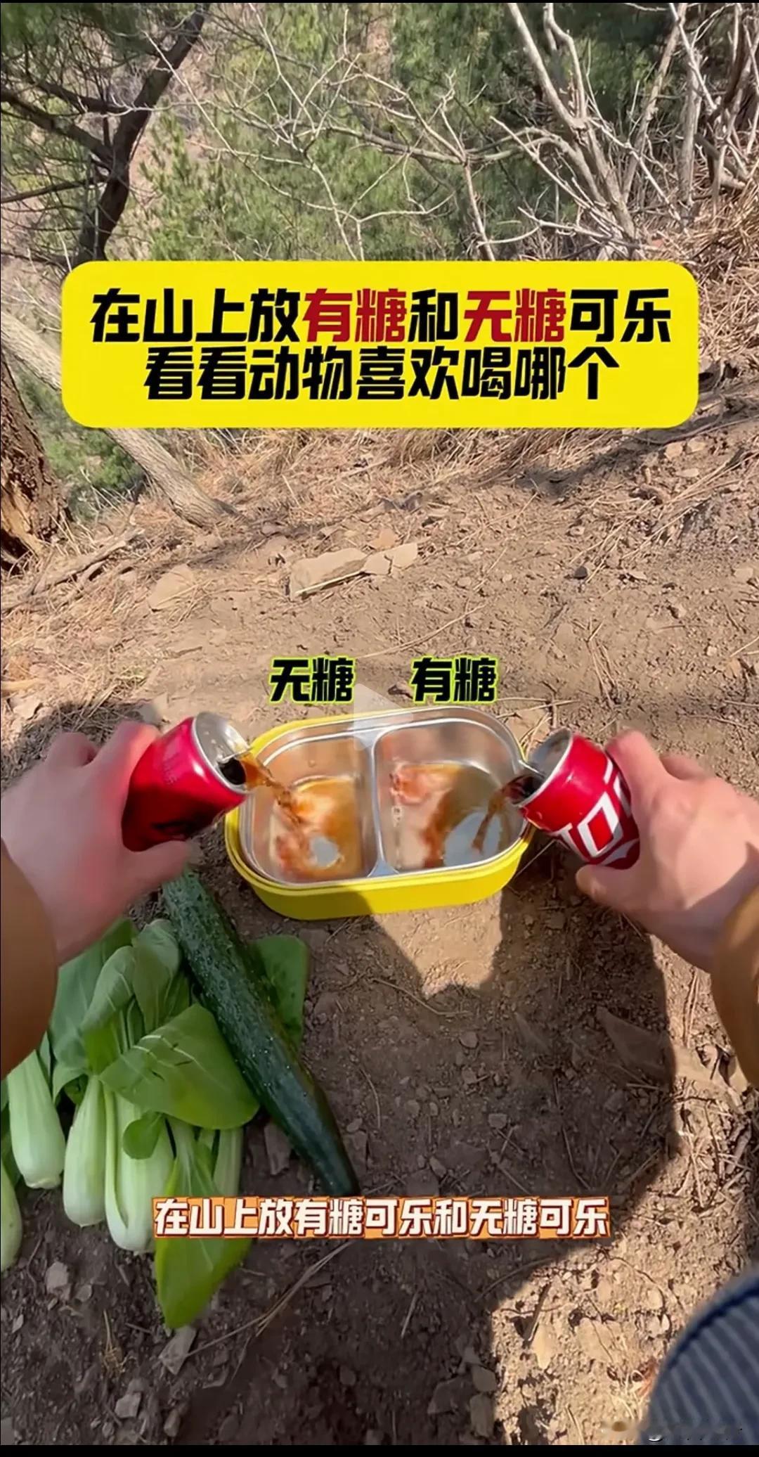 饮料里的工业糖，是引发糖尿病的主要原因之一，只有压榨或熬制的植物糖是安全的，其它