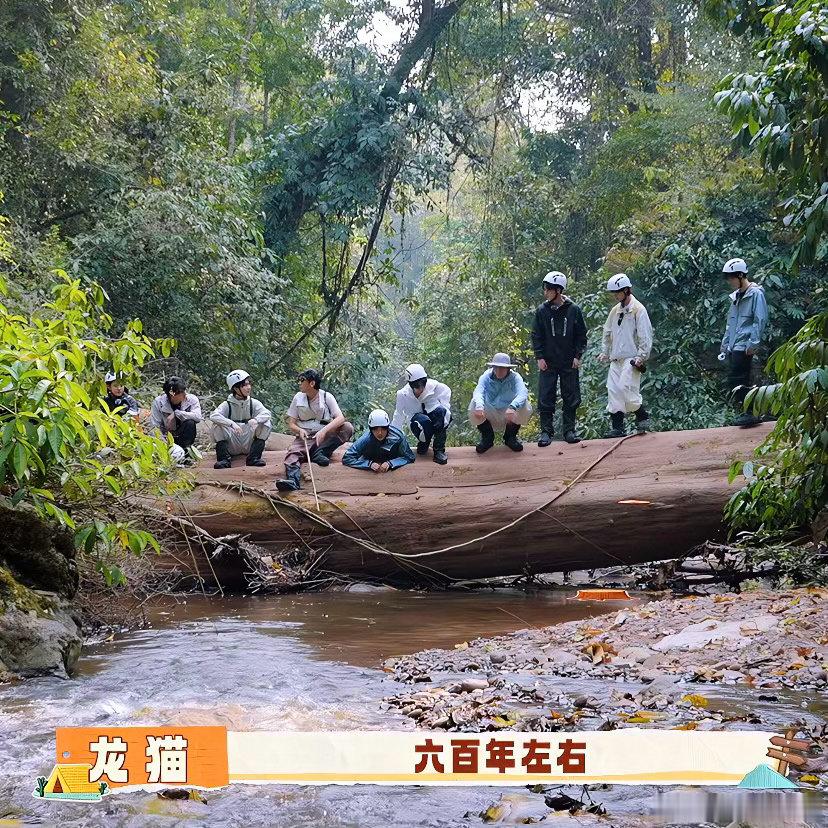 萌炸了。。。路过这里，其他人都坐在上面，轩轩趴上面